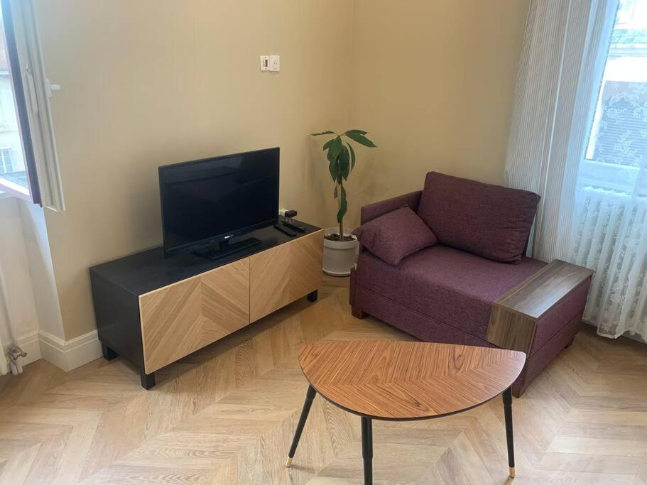 Appartement Centre Ville Historique - Le Modene Vienne  Ngoại thất bức ảnh