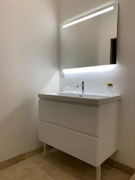 Appartement Centre Ville Historique - Le Modene Vienne  Ngoại thất bức ảnh